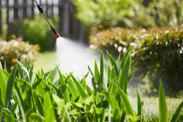 24/7 Emergency Mosquito Control experts in Voorheesville, NY