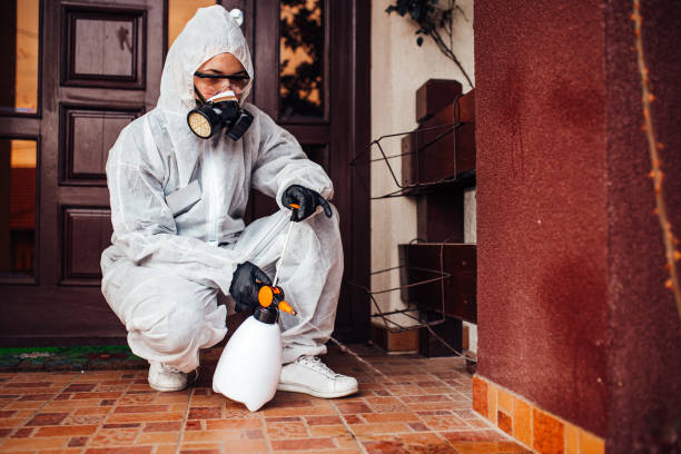 Reliable Mosquito Control contractor in Voorheesville, NY by Show Me Pest Control